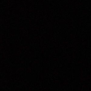 Meet your Posher, Kira